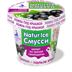 Замороженный взбитый десерт шербет из черной смородины "NATURICE" 80/36